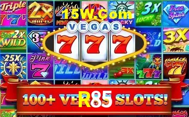 R85 Salvador - Support